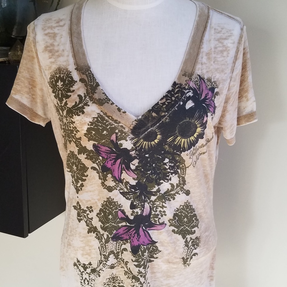 'Next Level' Yellowstone Park Sheer T-Shirt